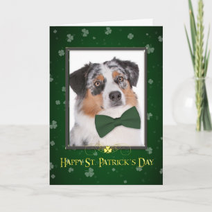 Tarjeta del Día del Pastor Australiano St. Patrick