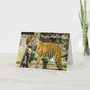 Tarjeta del día del tigre y de madre de Cub