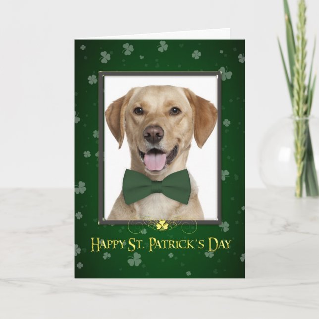 Tarjeta del día del Yellow Lab St. Patrick (Anverso)