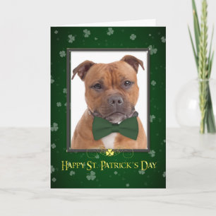 Tarjeta del día Staffie St. Patricks