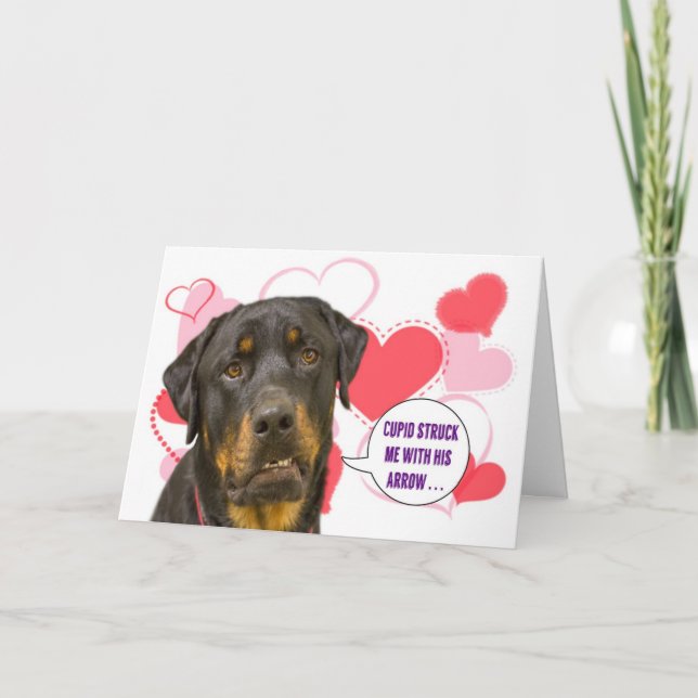 Tarjeta del el día de San Valentín de Rottweiler (Anverso)