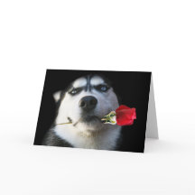 Tarjeta del el día de San Valentín del husky