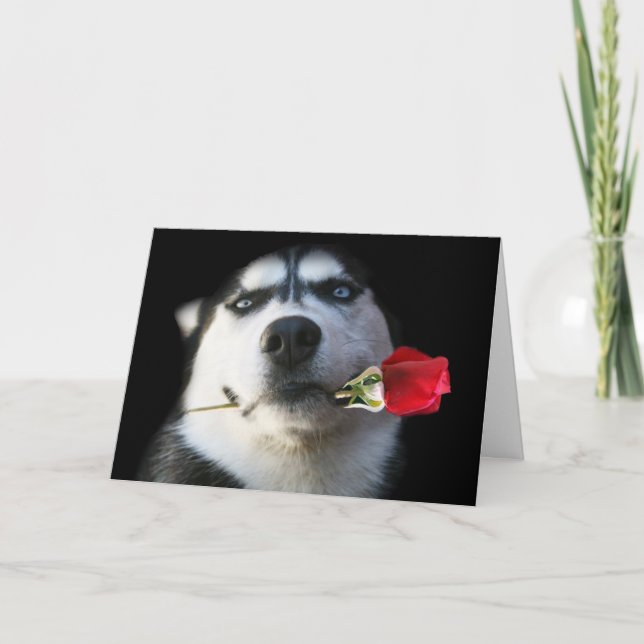 Tarjeta del el día de San Valentín del husky (Anverso)