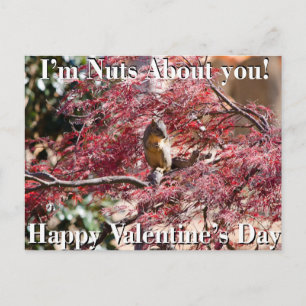 Tarjeta del el día de San Valentín para la escuela