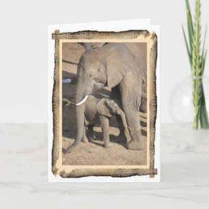 Tarjeta del elefante y del becerro (marco del