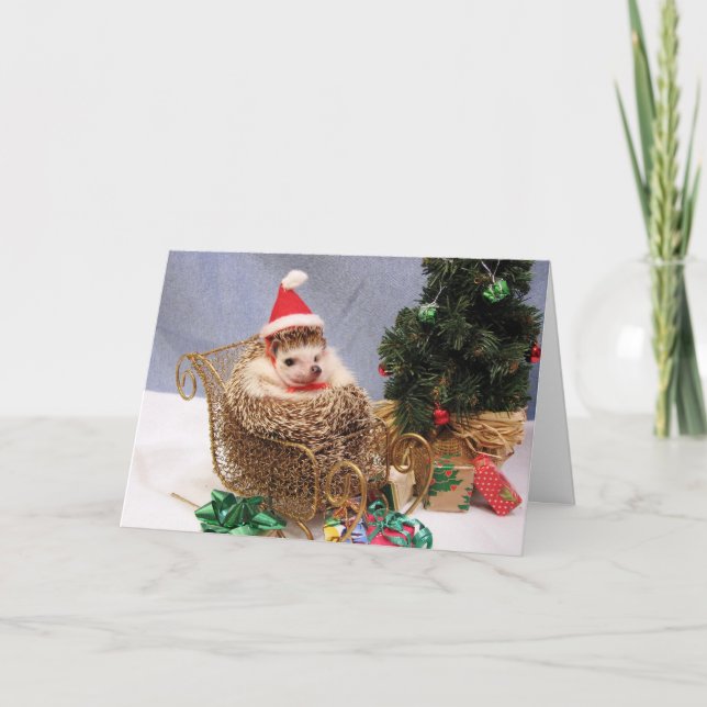 Tarjeta del erizo del navidad (Anverso)