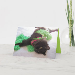 Tarjeta del estímulo