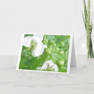 tarjeta del estímulo