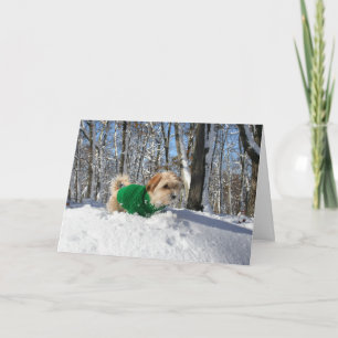 Tarjeta del estímulo del escalador de montaña