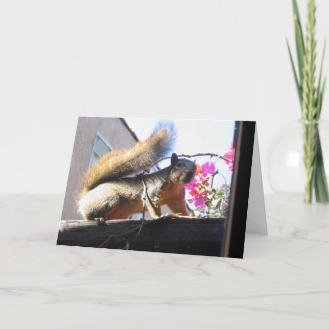 Tarjeta del estreno de una casa del mundo de la (Anverso)