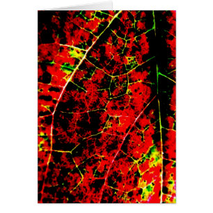 Tarjeta del extracto del fuego rojo