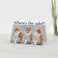 Tarjeta del feliz cumpleaños con el gato triple