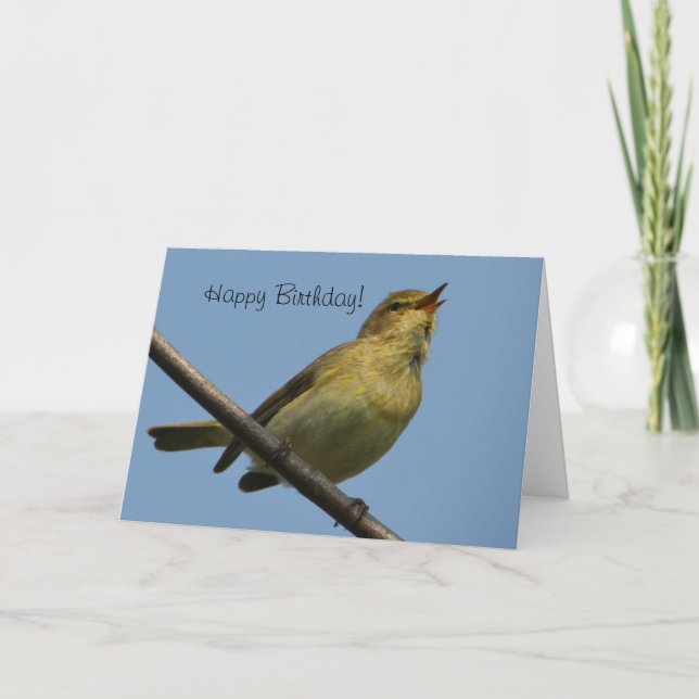 Tarjeta del feliz cumpleaños de ChiffChaff (Anverso)