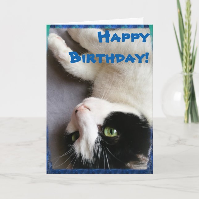 Tarjeta del feliz cumpleaños de la foto del gato (Anverso)