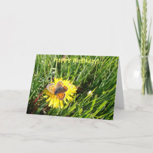 Tarjeta del "feliz cumpleaños" de la mariposa del