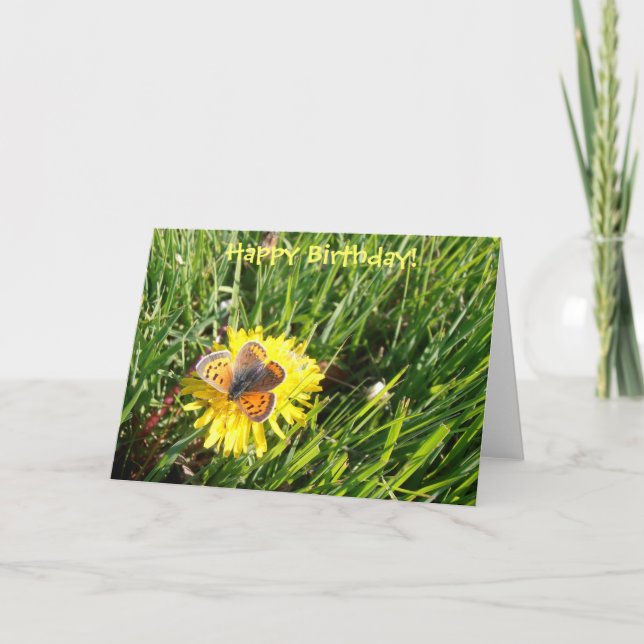 Tarjeta del "feliz cumpleaños" de la mariposa del (Anverso)