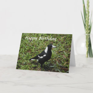 Tarjeta del feliz cumpleaños de la urraca