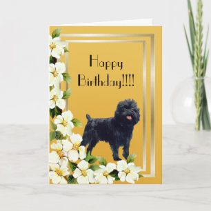 Tarjeta del feliz cumpleaños del Affenpinscher