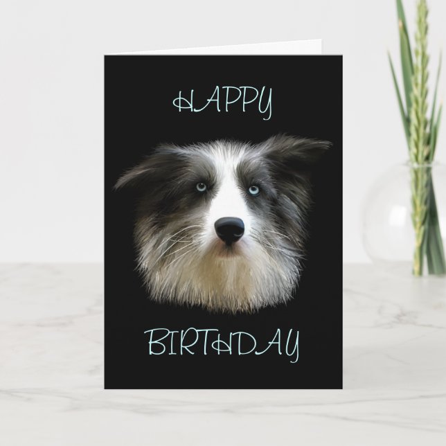 Tarjeta del feliz cumpleaños del border collie (Anverso)