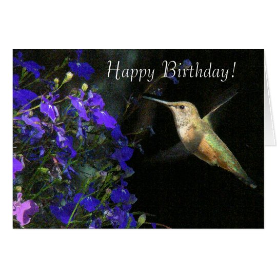 Postales 3d Gatos Salvajes Edition Colibri - 5 Unidades A6 - Lenticulares Para Cumpleaños Regalo Original Para Fiestas Infantiles