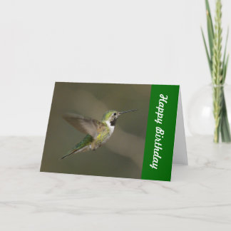 Tarjeta del feliz cumpleaños del colibrí