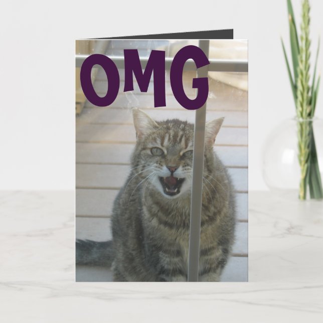 tarjeta del feliz cumpleaños del gato del omg (Anverso)