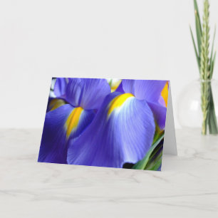 Tarjeta del feliz cumpleaños del iris