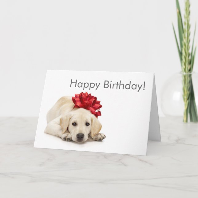 Tarjeta del feliz cumpleaños del labrador (Anverso)