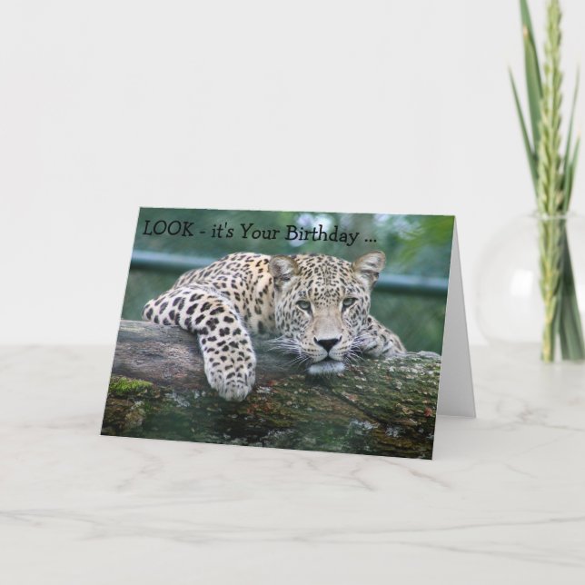 Tarjeta del feliz cumpleaños: Leopardo que mira (Anverso)