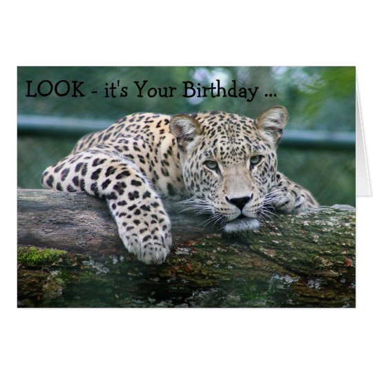 Tarjeta del feliz cumpleaños: Leopardo que mira