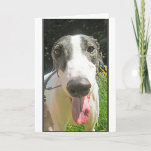 Tarjeta del galgo