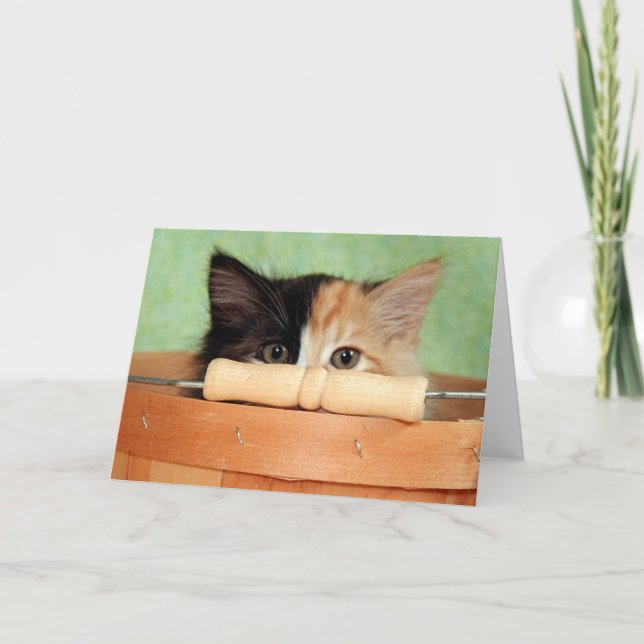 Tarjeta del gatito del calicó del rescate del gato (Anverso)