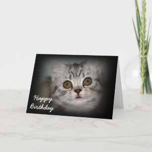 Tarjeta del gatito del feliz cumpleaños