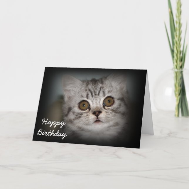 Tarjeta del gatito del feliz cumpleaños (Anverso)