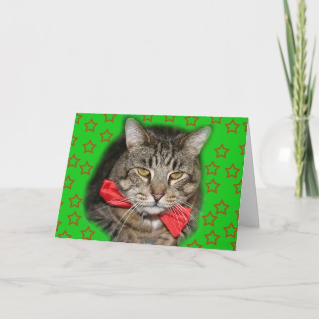 tarjeta del gato (Anverso)