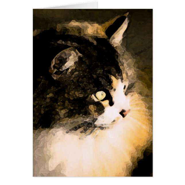 Tarjeta del gato (Frente)