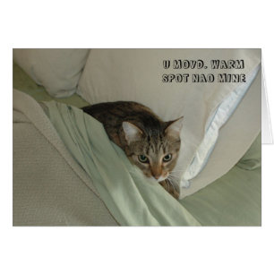 Tarjeta del gato de LOL