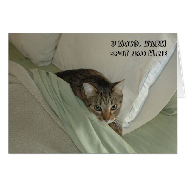 Tarjeta del gato de LOL (Anverso (Horizontal))