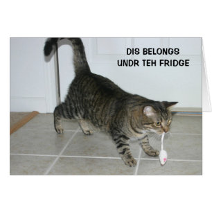 Tarjeta del gato de LOL