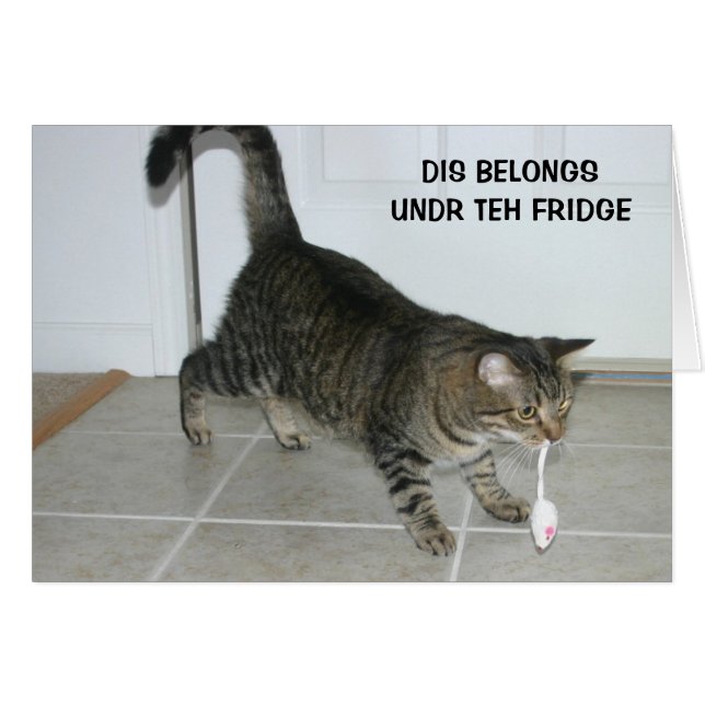 Tarjeta del gato de LOL (Anverso (Horizontal))