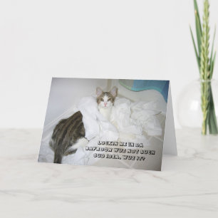 Tarjeta del gato de LOL