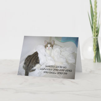 Tarjeta del gato de LOL