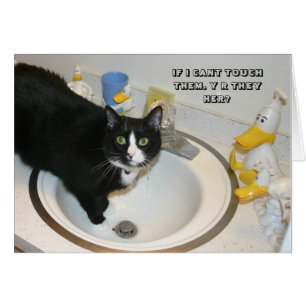 Tarjeta del gato de LOL