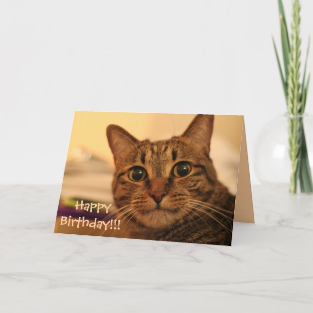 Tarjeta del gato de Tabby del feliz cumpleaños (Anverso)