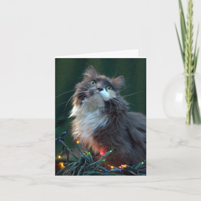 Tarjeta del gato del día de fiesta del navidad de (Anverso)