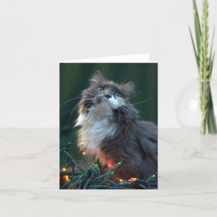 Tarjeta del gato del día de fiesta del navidad de