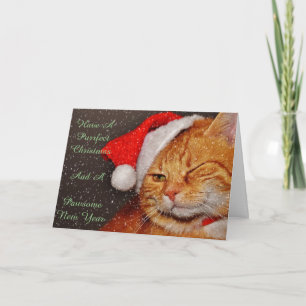 Tarjeta del gato del navidad