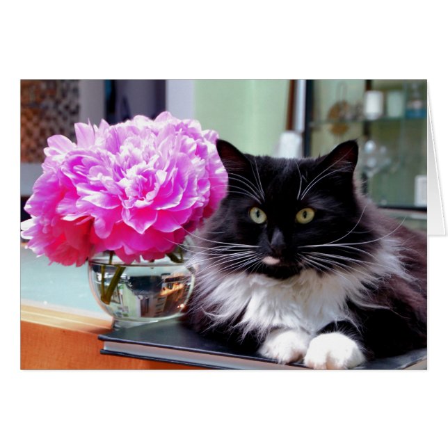 Tarjeta del gato y de los Peonies (Anverso (Horizontal))