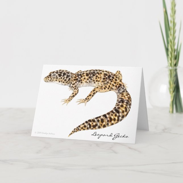 Tarjeta del Gecko del leopardo (Anverso)