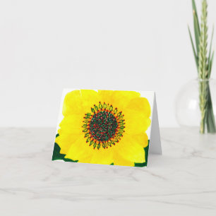 Tarjeta del girasol del día de fiesta